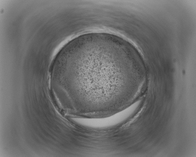 X0000081471509200701261950