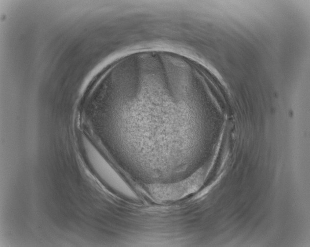 X0000081471510200701261950