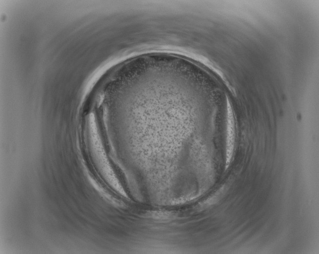 X0000081471511200701261950