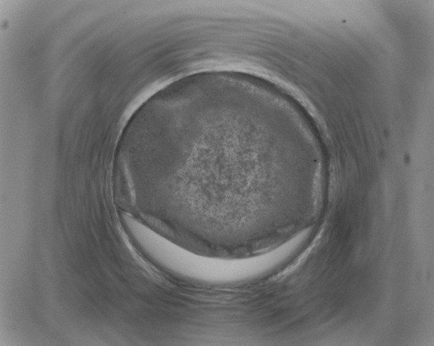 X0000081471513200701261950