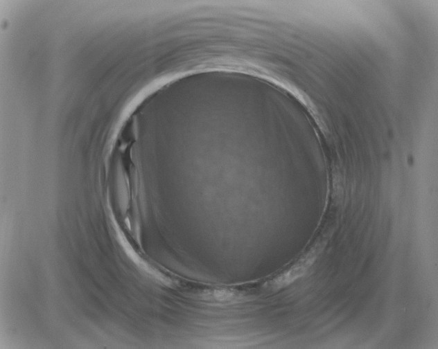 X0000081471515200701261950