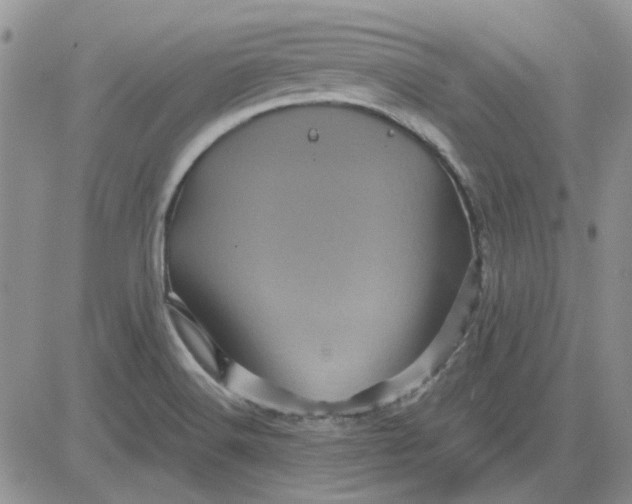 X0000081471516200701261950