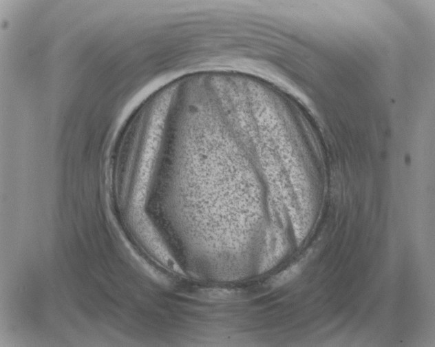 X0000081471517200701261950