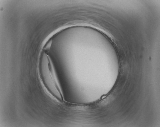 X0000081471518200701261950