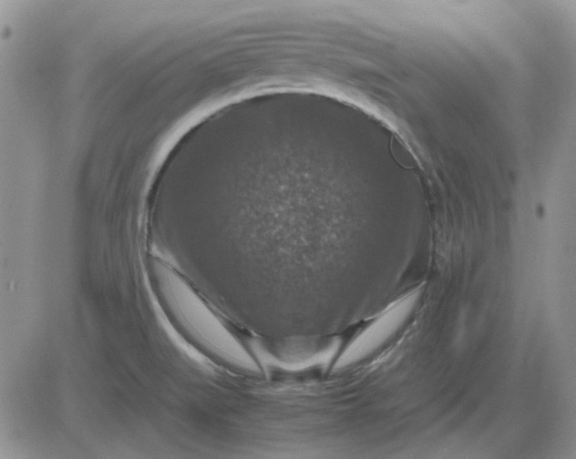 X0000081471519200701261950