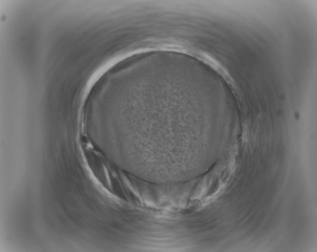 X0000081471520200701261950