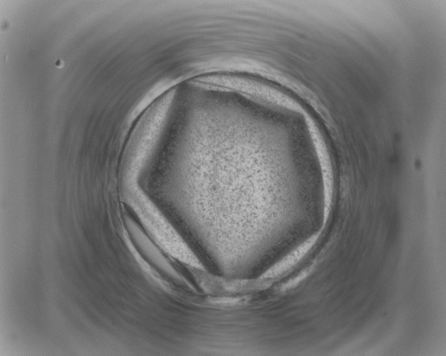 X0000081471521200701261950