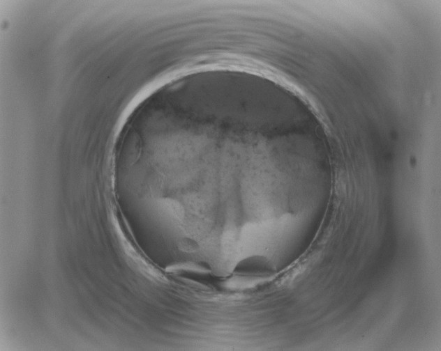 X0000081471522200701261950