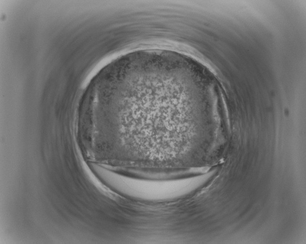 X0000081471523200701261950