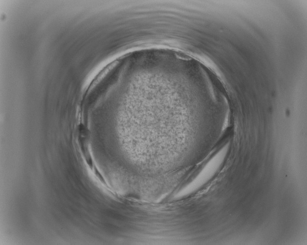 X0000081471524200701261950