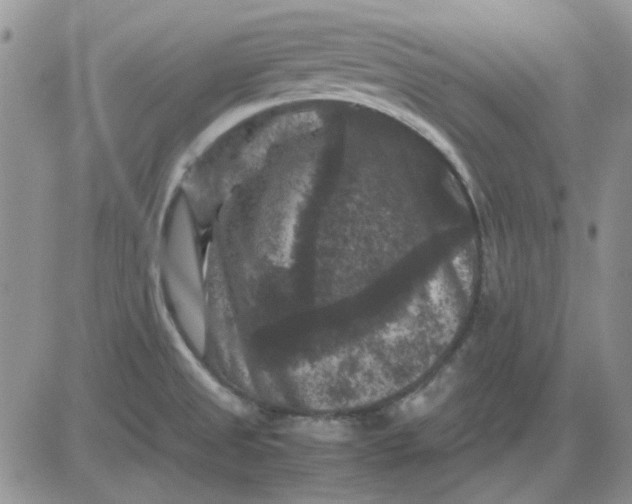 X0000081471525200701261950