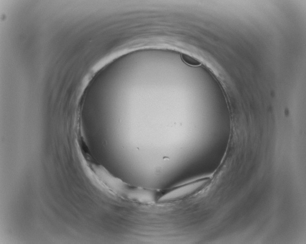 X0000081471526200701261950