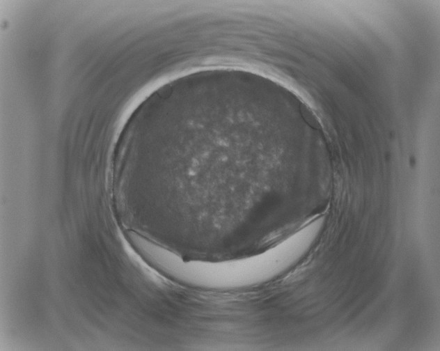 X0000081471527200701261950