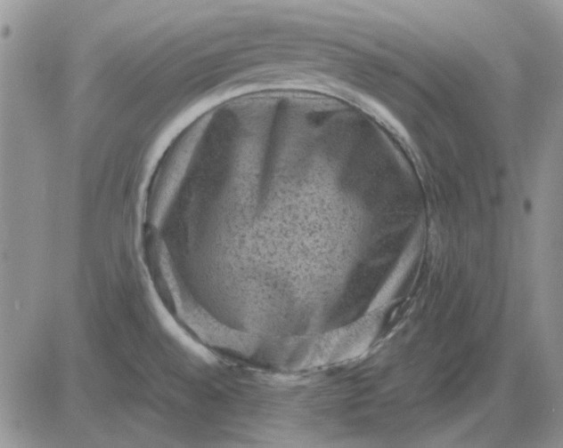 X0000081471528200701261950