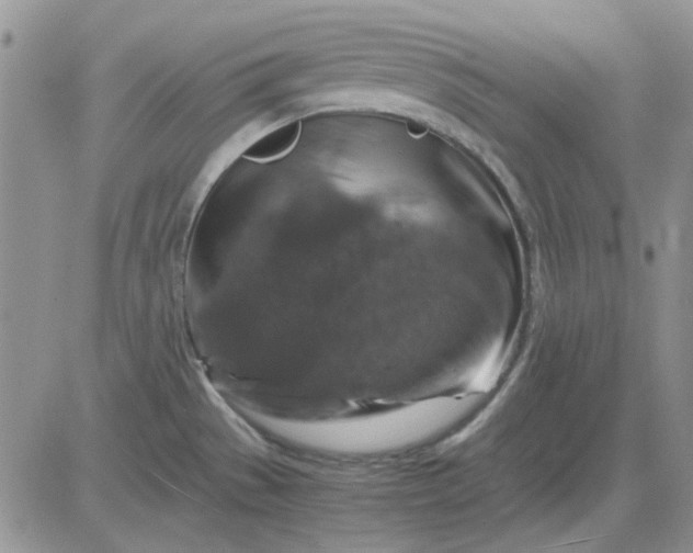 X0000081471529200701261950