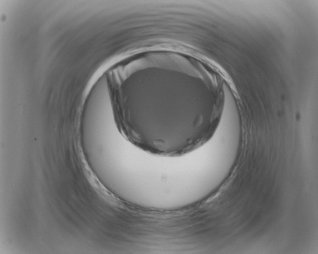 X0000081471530200701261950