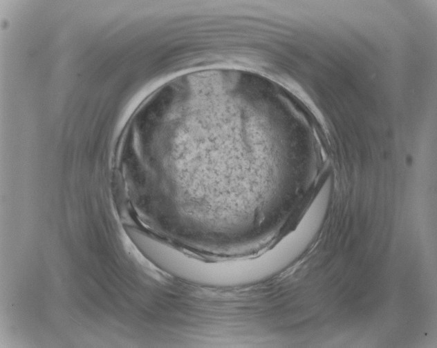 X0000081471532200701261950