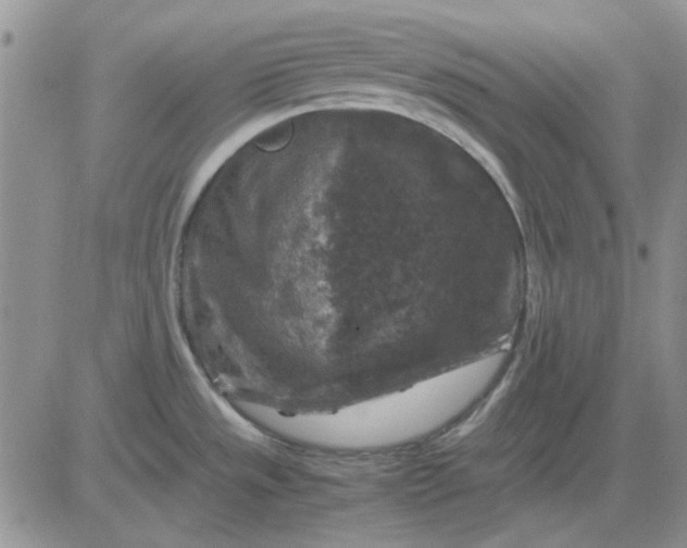 X0000081471533200701261950