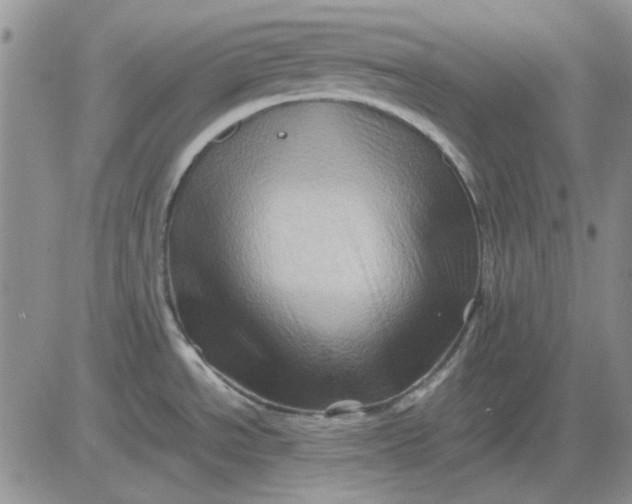 X0000081471534200701261950