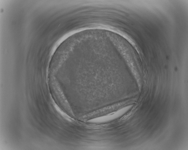 X0000081471535200701261950