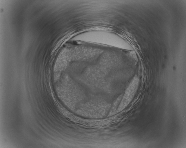 X0000081470001200702021844