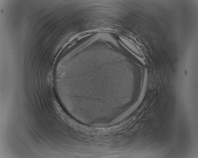 X0000081470002200702021844