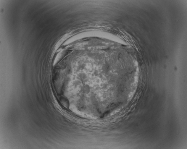 X0000081470003200702021844