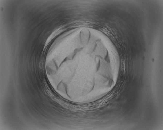 X0000081470004200702021844