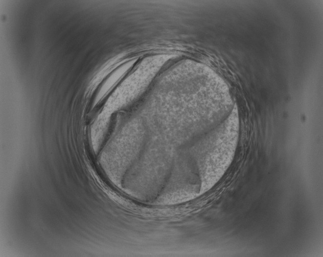 X0000081470005200702021844