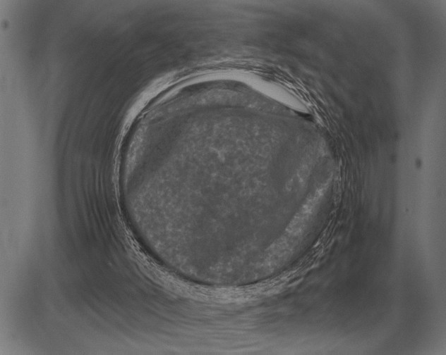 X0000081470006200702021844