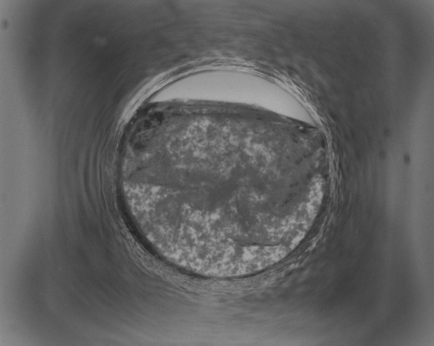 X0000081470007200702021844