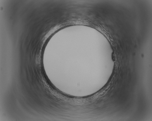 X0000081470008200702021844