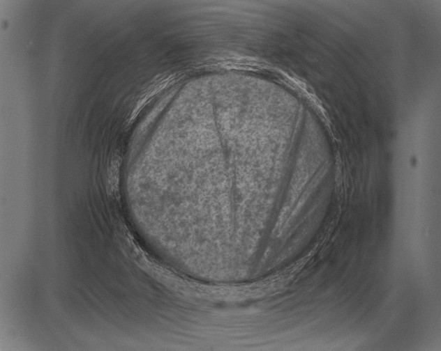 X0000081470010200702021844