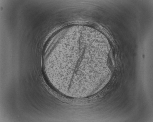 X0000081470011200702021844