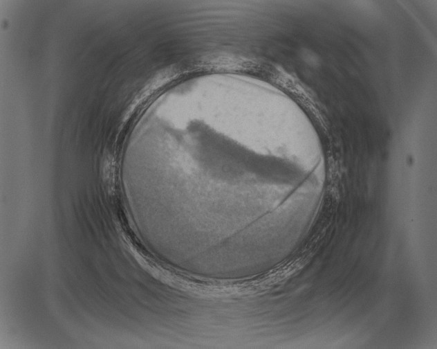 X0000081470012200702021844