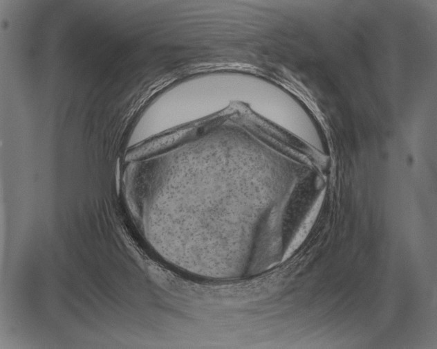 X0000081470013200702021844