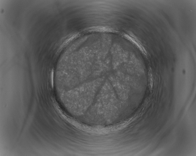 X0000081470014200702021844