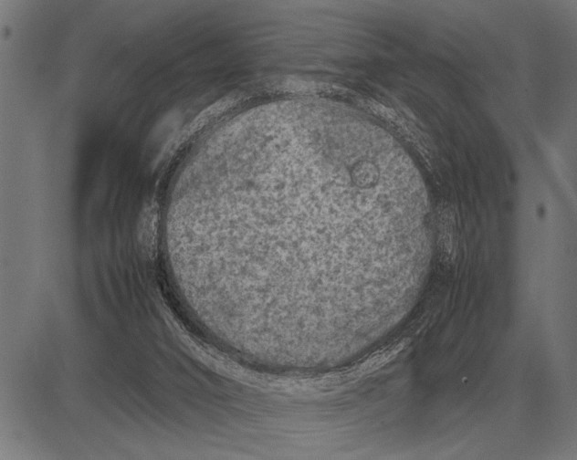 X0000081470016200702021844