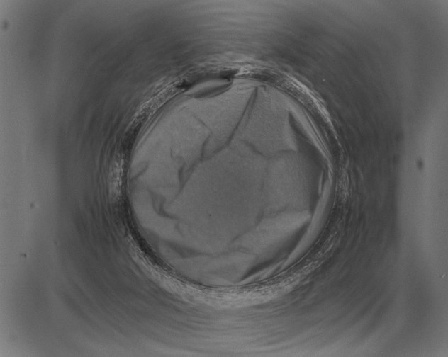 X0000081470018200702021844