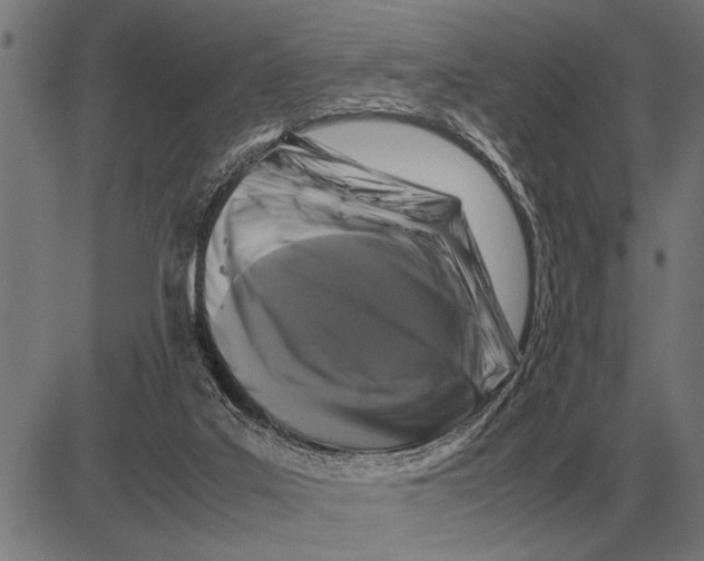 X0000081470019200702021843