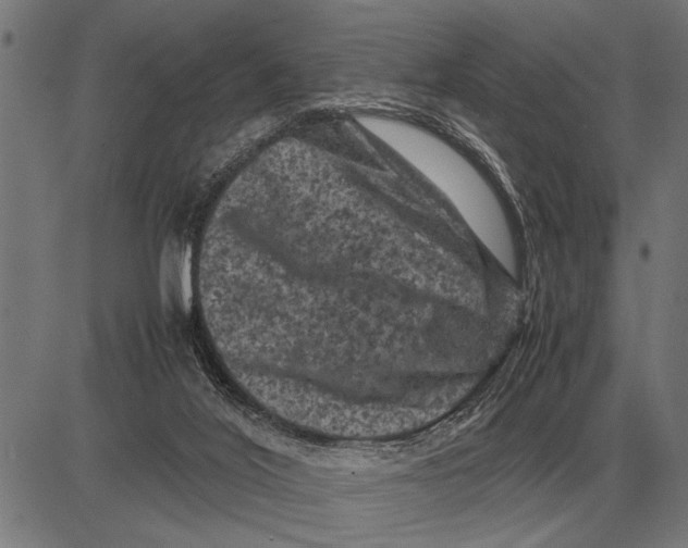 X0000081470020200702021843