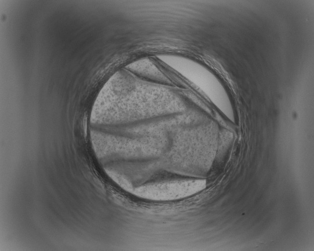 X0000081470021200702021843