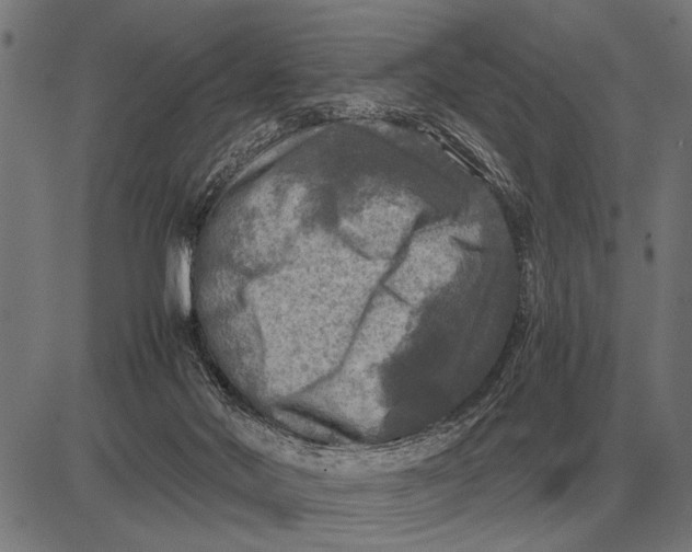 X0000081470022200702021843