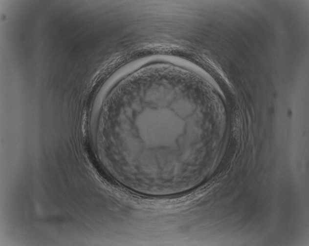 X0000081470023200702021843