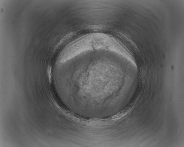 X0000081470024200702021843