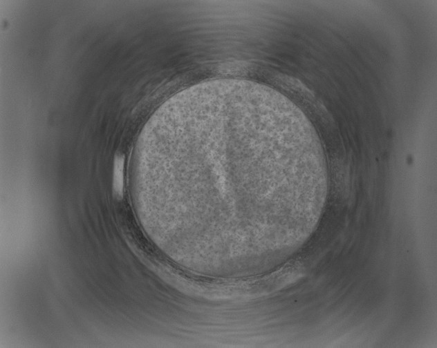 X0000081470028200702021843