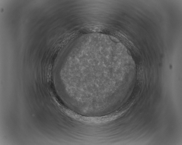 X0000081470030200702021843