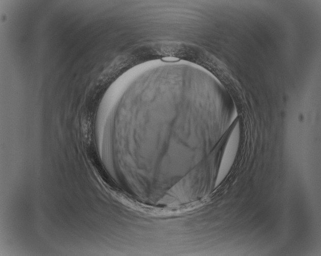 X0000081470031200702021843