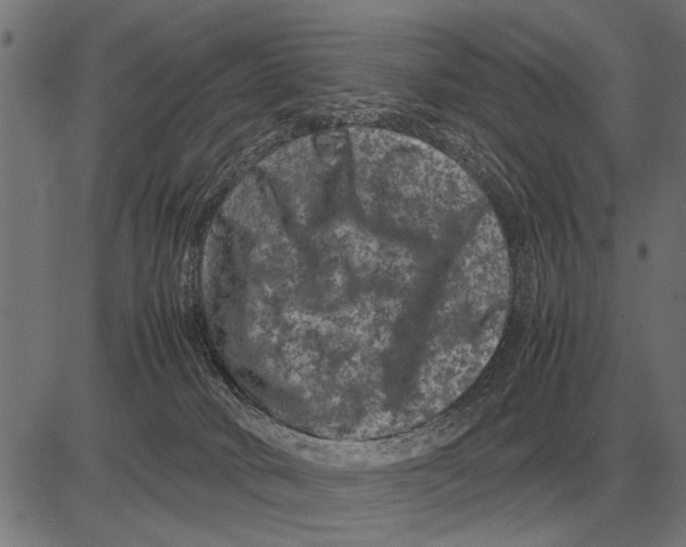 X0000081470034200702021843