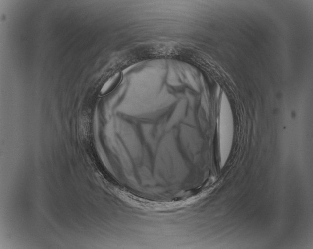 X0000081470035200702021843